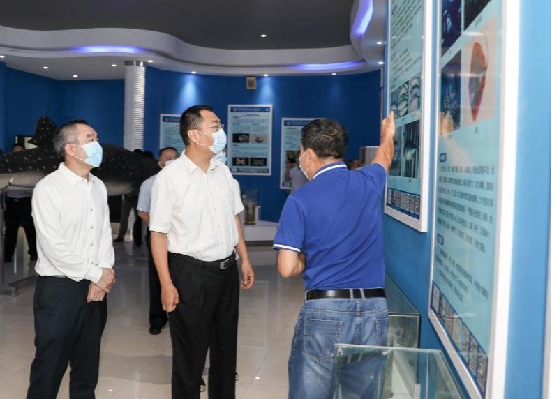 B5628B62442D5122CBEED1E92F4_A4192FB4_11D00