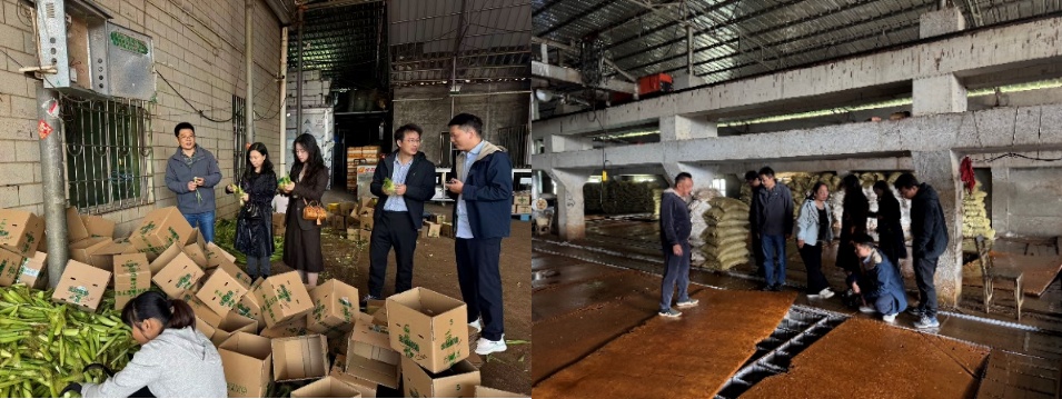 EEB1D6F1D2EECDB76F69EE3A18F_9EE5354B_2E942