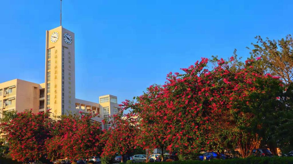 ��ҳ|�Ϲ�NG28��������Ʒ��ʵ������