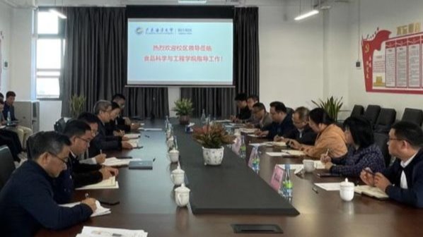 ��ҳ|�Ϲ�NG28��������Ʒ��ʵ������