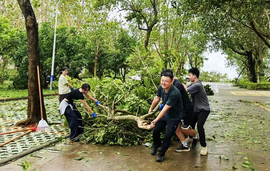 A03BE5E81E3816AEFA55507B5B5_A8C2ADC4_337CB