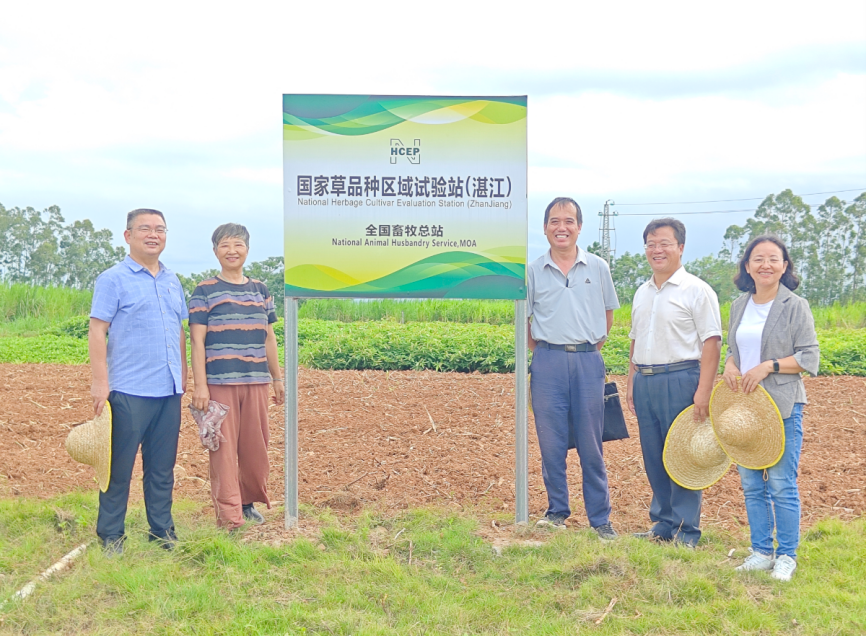 B1162411B2D388E8A1C37D48CF0_877535BB_EEF78 B1162411B2D388E8A1C37D48CF0_877535BB_EEF78