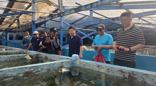 ��ҳ|�Ϲ�NG28��������Ʒ��ʵ������