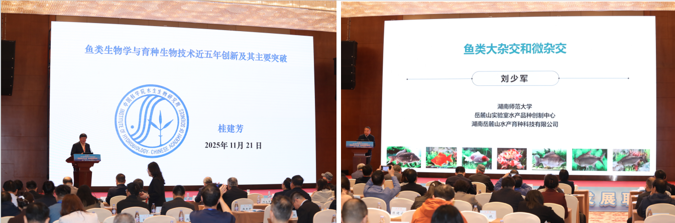 ��ҳ|�Ϲ�NG28��������Ʒ��ʵ������