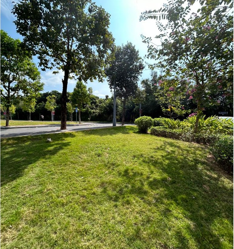 44724A6D4F435353C0C48F8E09A_038D98F4_58A01