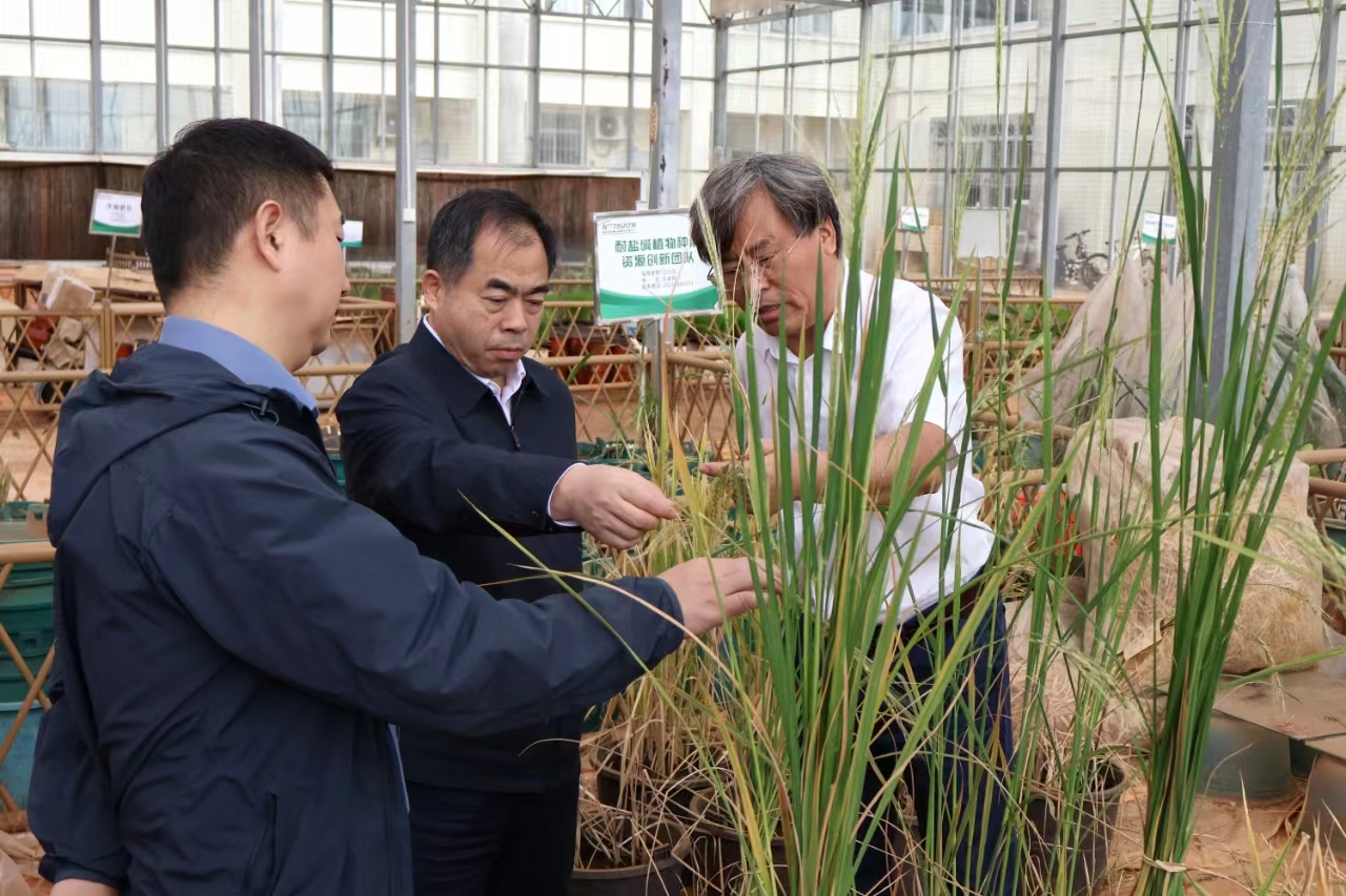 559010637DAE5B0DF48FB846477_5EE0A7DC_B69E7