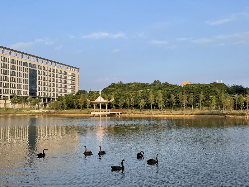 05F7EFC09381CC16810E2757F56_6DBE5F37_31C5C