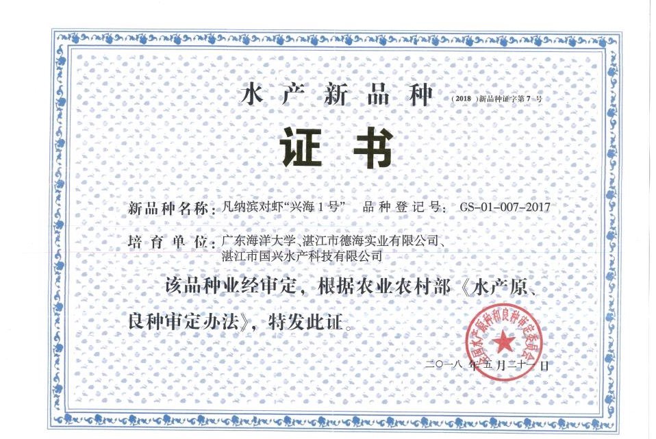 E8DD7A173E55C1AA401378F5FB5_CC5AF5C2_2402D