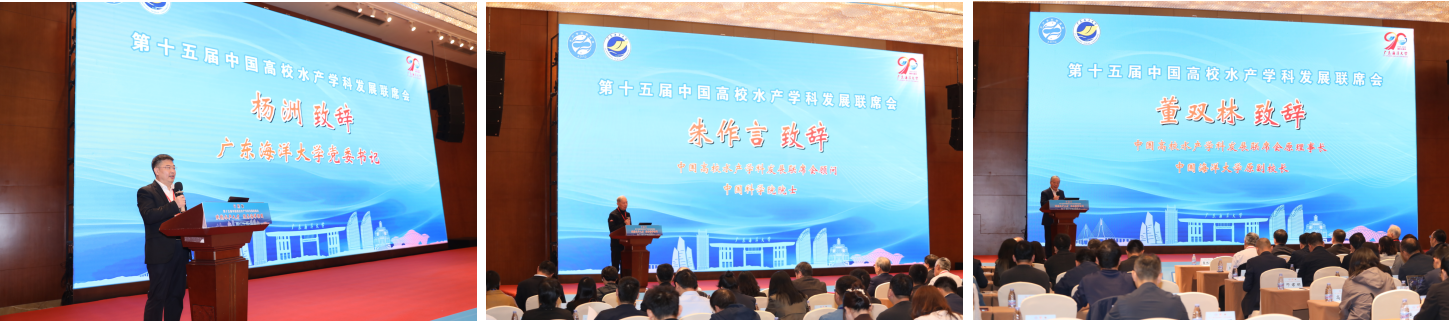 ��ҳ|�Ϲ�NG28��������Ʒ��ʵ������