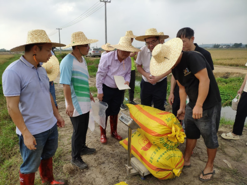 ��ҳ|�Ϲ�NG28��������Ʒ��ʵ������