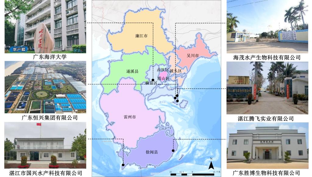 CD039B0764A099E355937CDA56E_CB9C3646_1C87F CD039B0764A099E355937CDA56E_CB9C3646_1C87F