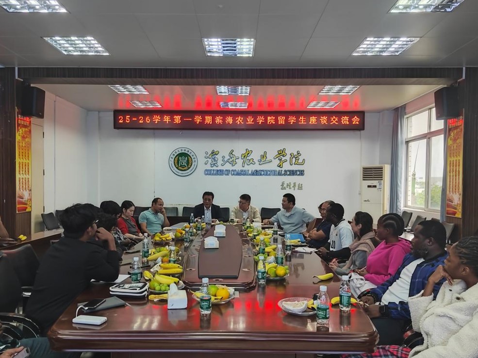 EB23FE6BFFDDDB2090924184B4C_EE8B211D_295DE