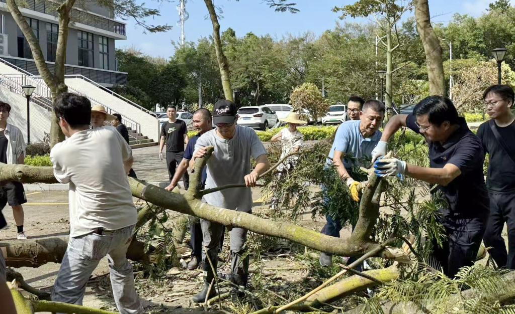 0743519025E1E8B8A6CBC112ED3_0DC12B52_2A363