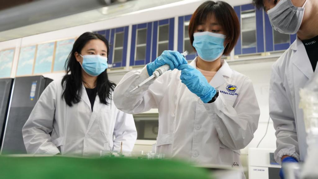 EA1F1CCE46D2ADAC5B9A7A857FA_1388BBA5_F479