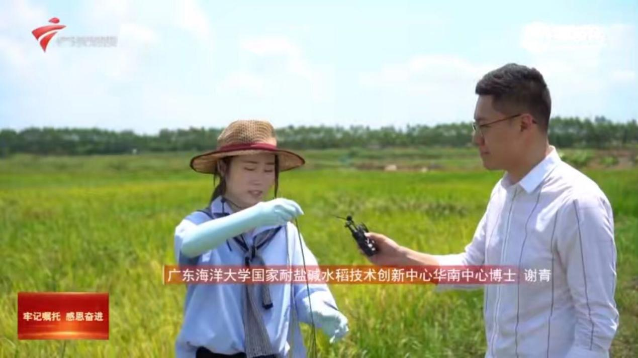 DCF21085D173881446BE93A9AE9_1B39697C_B7CCD