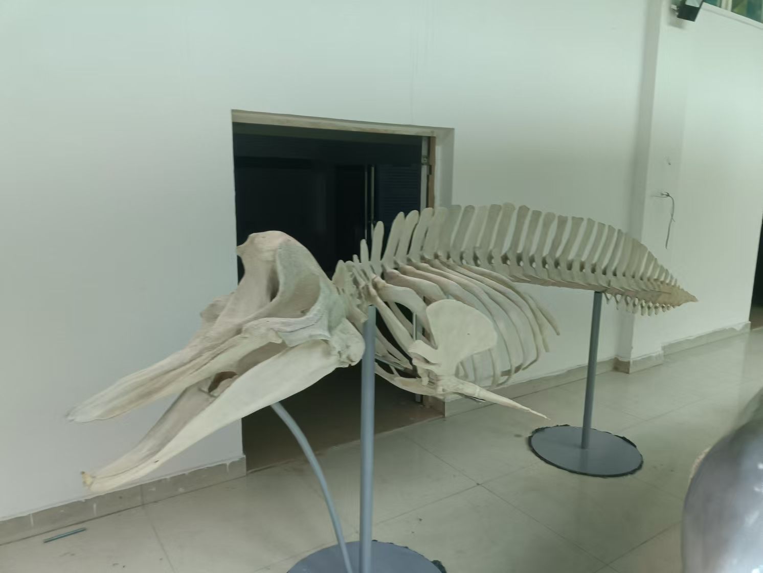 BC17189F98C767C1E8060CE1F48_43CE693E_15F2E