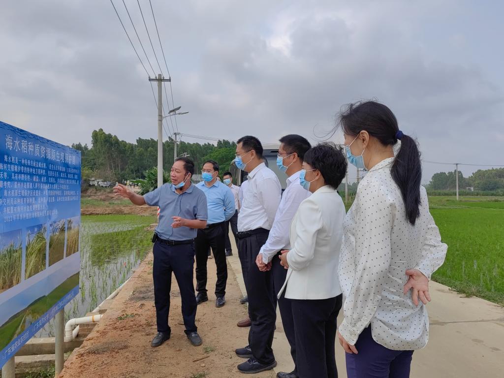 BA41A4003648A1FB85090216206_C6E7D6F0_18DFC BA41A4003648A1FB85090216206_C6E7D6F0_18DFC