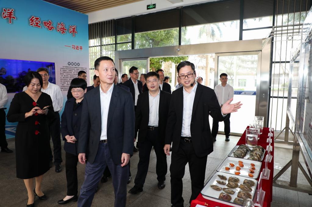 8624D086B1CA9E4CDF12244343A_2411B0FB_1A50C