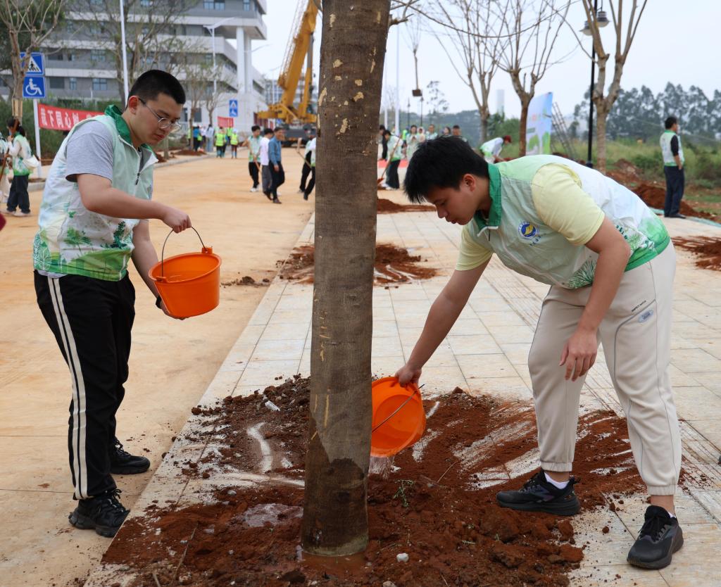 EC3D931A083EA67D880768F1C50_282912E0_24E98