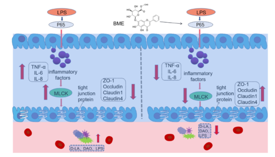 E02206C626EF7979D6A0E3F71D6_07B3FD57_AC6B8 E02206C626EF7979D6A0E3F71D6_07B3FD57_AC6B8