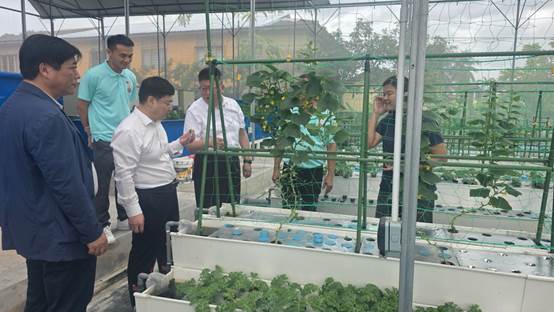 ��ҳ|�Ϲ�NG28��������Ʒ��ʵ������