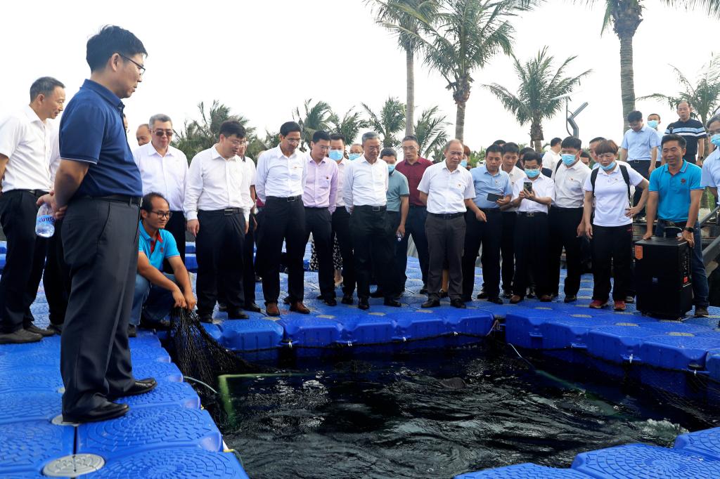 34395066053DCD38679C5D6ABBF_6BC4D2E5_1F9F9