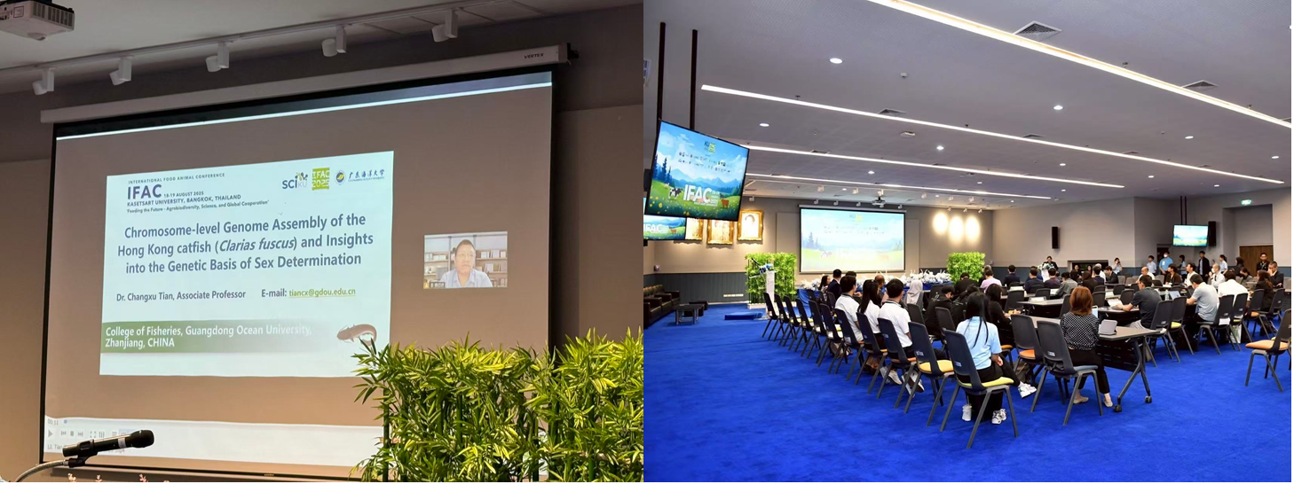 44475C241A6B70C81CD0797EA85_5E564744_FC193