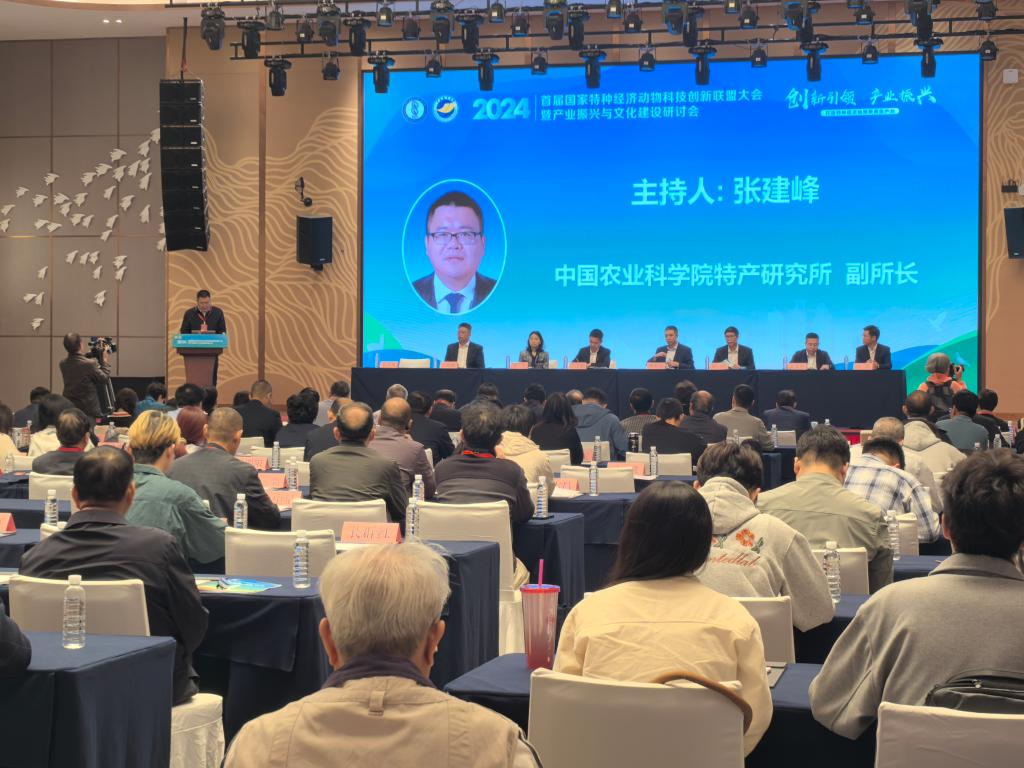 ��ҳ|�Ϲ�NG28��������Ʒ��ʵ������