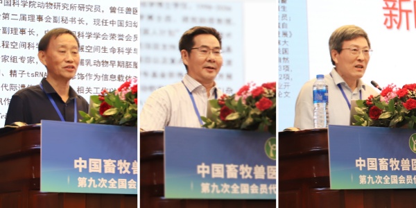 5CAEADFFEE8A9CFA254AC05A806_D5F1098B_11AD4