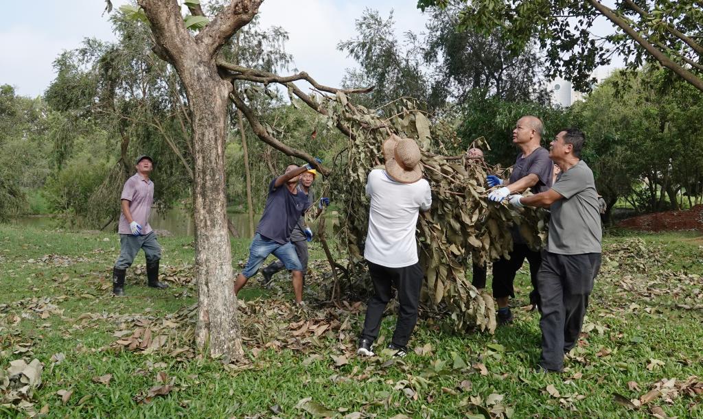 33E480C514A2FE5B5CB5F8C3D7E_A1BBF793_2F5FA