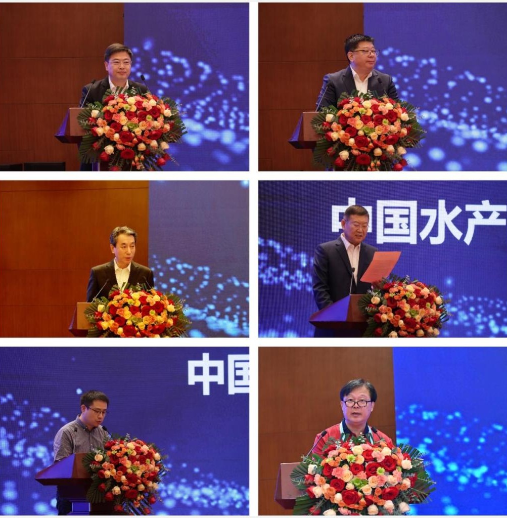 1A1834B87FD28F1275693521DB3_C775EE2F_3803E