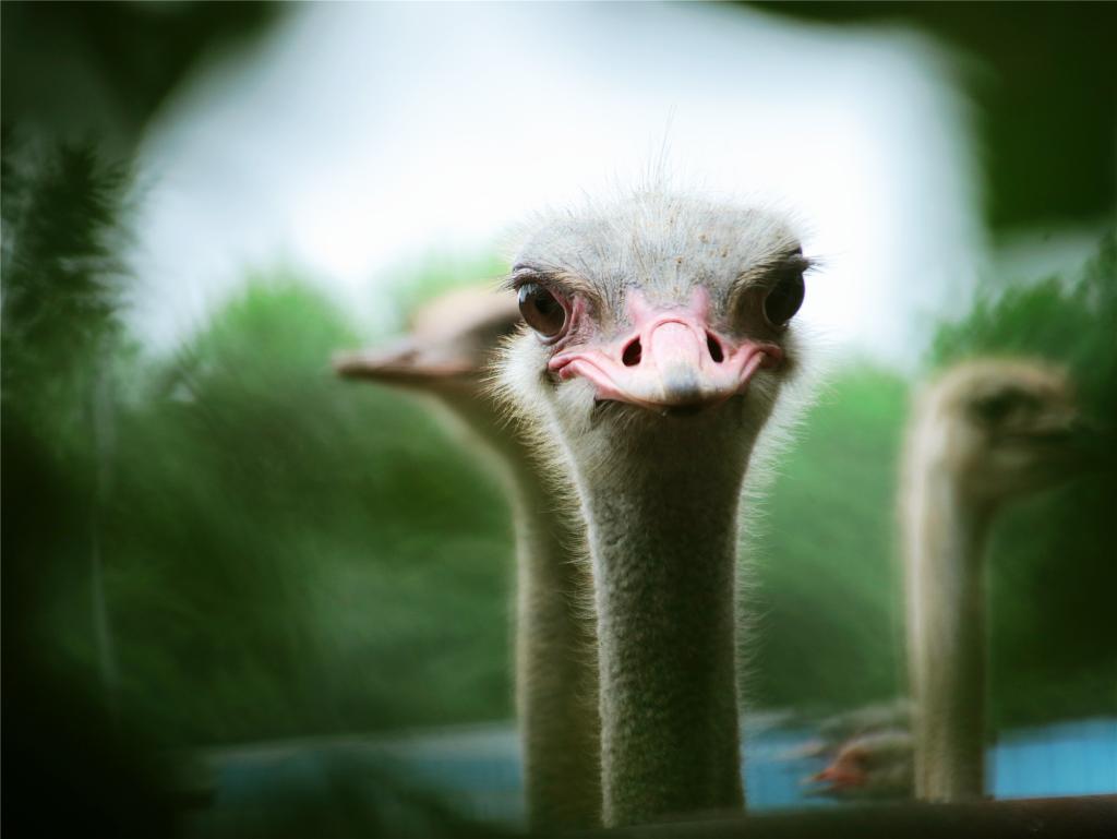 18B1EC39AE47CDFB4FA1F71B9AE_A3A64B43_CD66