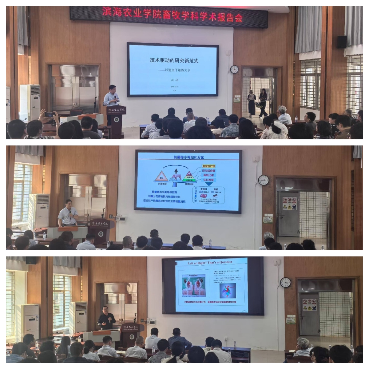 ��ҳ|�Ϲ�NG28��������Ʒ��ʵ������