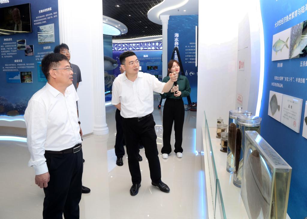 C05559580DF795170D5E9A0F0C9_B49FA3DA_15491