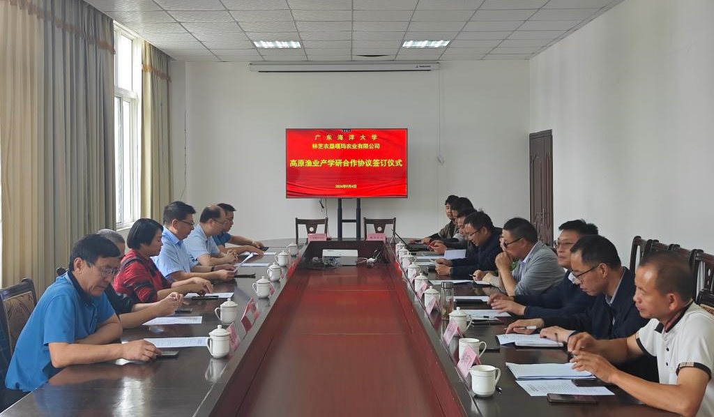 626ED60C82B3E6C00DCF0C31B4E_1A78A4F6_18CFF