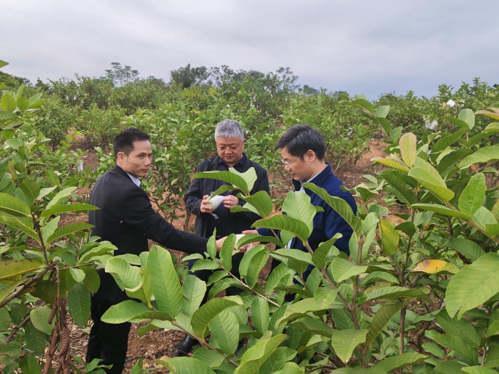 AEC8C4CEE6BFD1F2B50F1D93564_E3DCEDBE_239BD