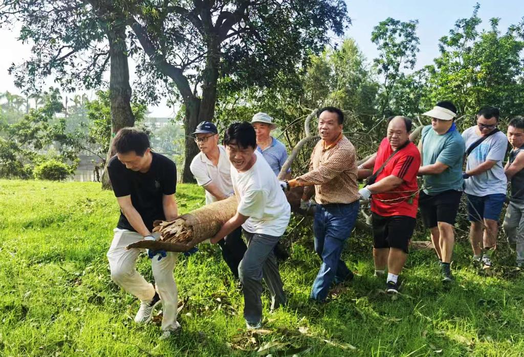 51AA33D69CF184308FE9F798C98_908296BC_317F3