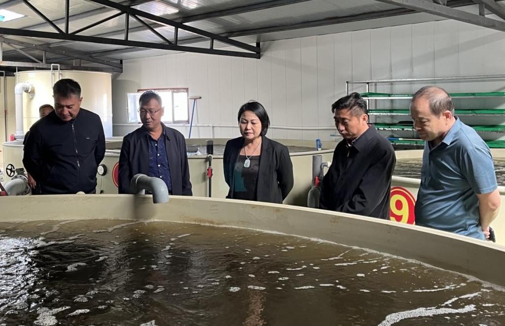 72305D06AF7746CEC226CCC9DA6_B24DB85D_19FBA