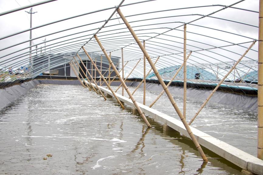 A12297DCF882BADA7B387F3E91A_31CECDA8_17BBD