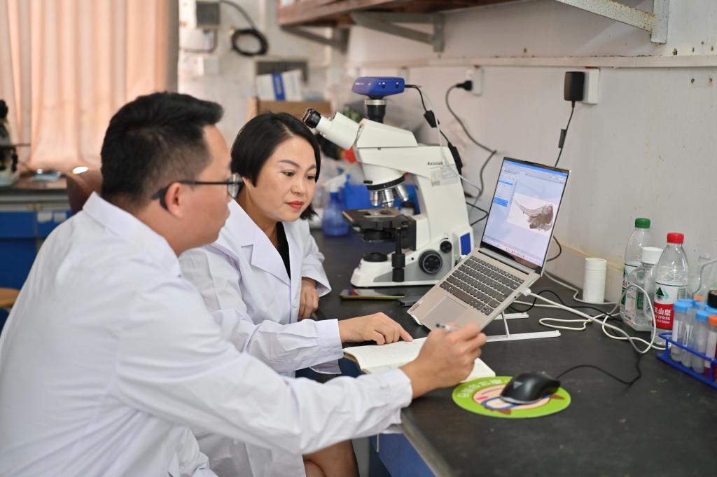 9A40F574454AE20D2D6D4E621A8_F1D27D8E_1237C