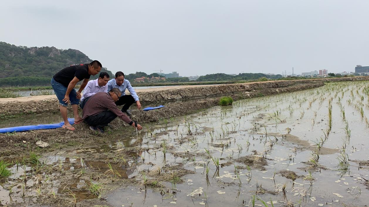 18F7A5A320F4011A26FC121D729_49D3BE9D_3CEDC