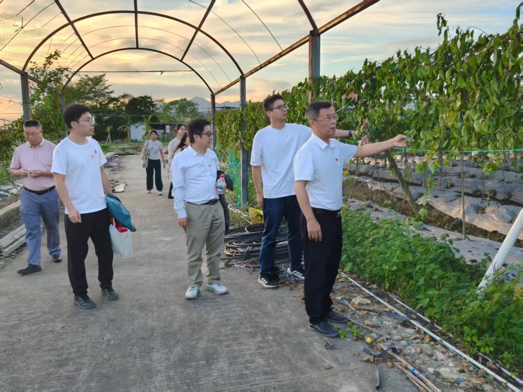 B760461DB1EBB5E77817C99A770_9850ABE5_22872