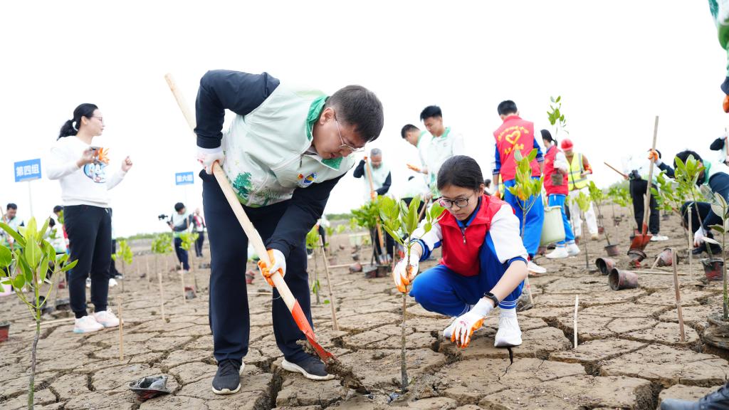 A778AA945C860645654EB8E8E8F_DEB31485_19C2F A778AA945C860645654EB8E8E8F_DEB31485_19C2F