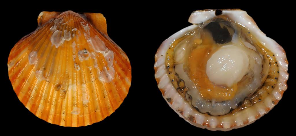 0A88739CCC20FE0454D39C6DBBC_CE4C7E18_CDDB