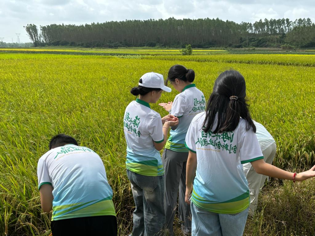 332FB5D45EA66331571E516450F_48DAFE26_29E4D