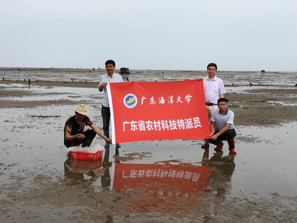 ADF01022F90A0486D5601F8187D_ECE4FC62_1BB35