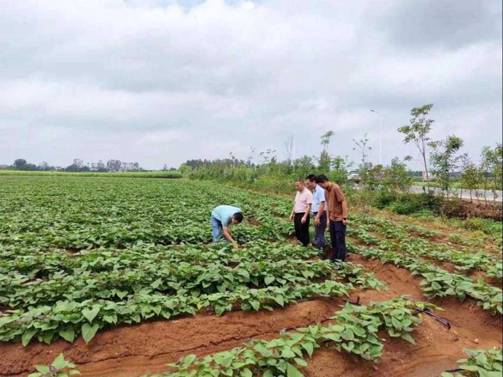 63DFED3E44021FE36C75884401A_B80C1B10_1F20A