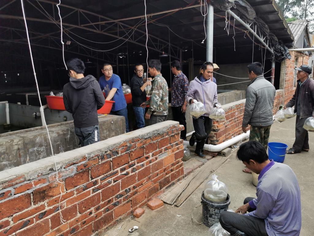 711D12343285373E63F71D11974_7E47C935_26B42