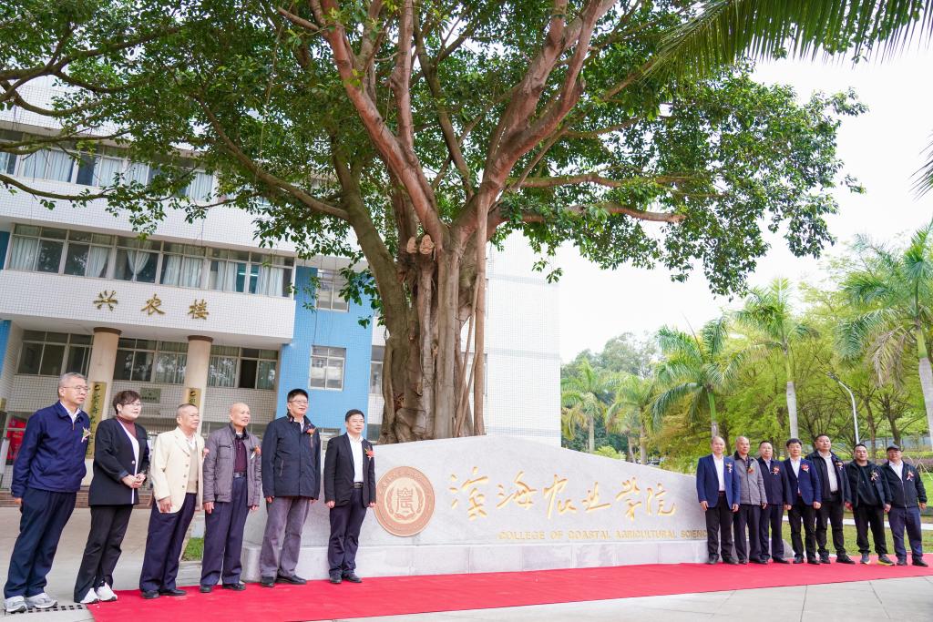 533E32D918FDCC7B0231B655FE6_4FB987AD_2E0A6