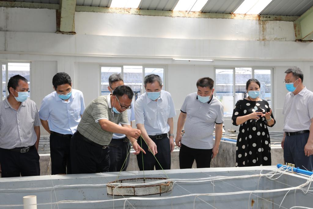 F7CB56FC6FCD515CA75889DD240_C024C2FD_1783A